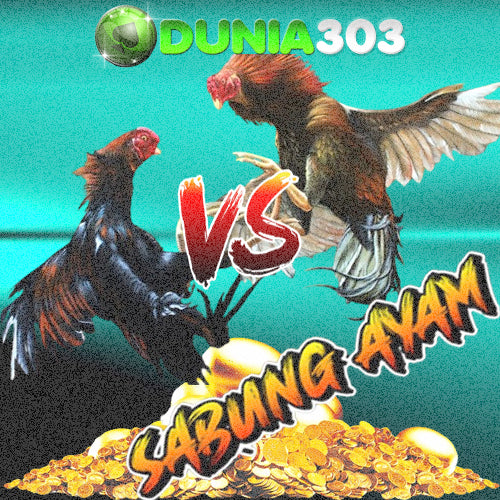 DUNIA303 : Agen Situs Sabung Ayam Thailand Online 24Jam